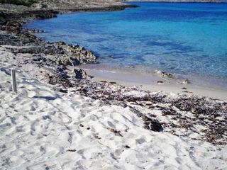 Οικόπεδο 36.000 τ.μ. για πώληση, Λακωνία, Ελαφόνησος-thumb-8