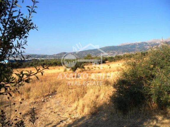 Land plot 8.000 sqm for sale, Achaia, Messatida