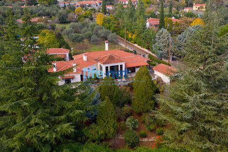 Μονοκατοικία 192τ.μ. για πώληση-Πελασγία » Παραλία πελασγίας