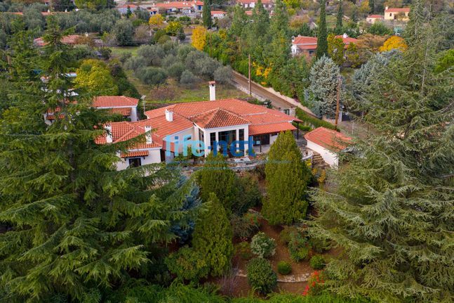 Detached home 192 sqm for sale, Phthiotis, Pelasgia