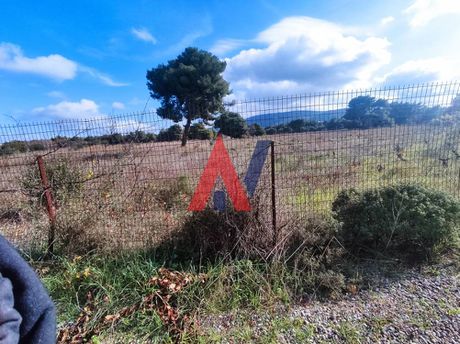 Parcel 40.390sqm for sale-Nea Erithraia » Mortero