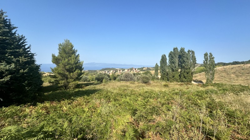 Αγροτεμάχια 4.176 τ.μ. πρός πώληση, Χαλκιδική, Κασσάνδρα