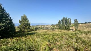 Αγροτεμάχια 4.176 τ.μ. για πώληση