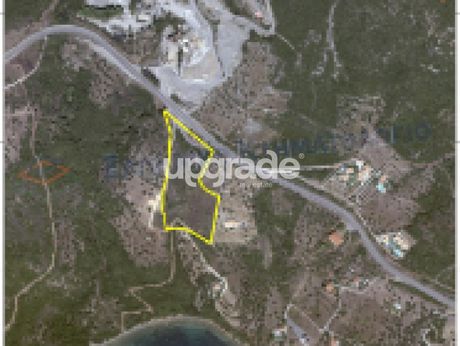 Αγροτεμάχια 15.000τ.μ. για ενοικίαση-Ευπάλιο » Σκάλωμα