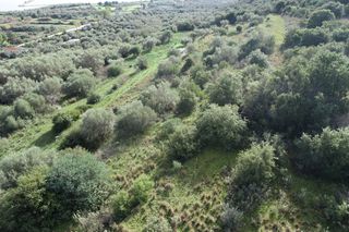 Αγροτεμάχια 6.500 τ.μ. για πώληση, Ν. Λευκάδας, Λευκάδα-thumb-15