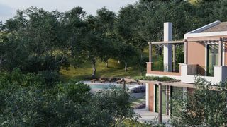 Αγροτεμάχια 6.500 τ.μ. για πώληση, Ν. Λευκάδας, Λευκάδα-thumb-5
