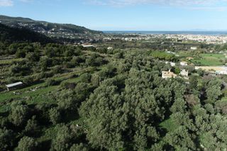 Αγροτεμάχια 6.500 τ.μ. για πώληση, Ν. Λευκάδας, Λευκάδα-thumb-23