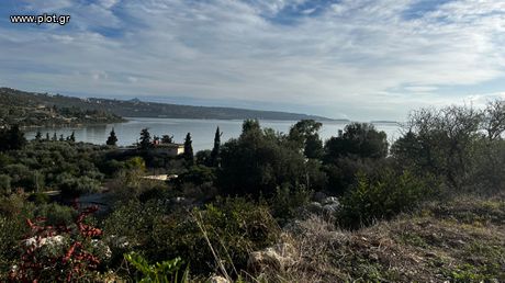 Land plot 501 sqm for sale