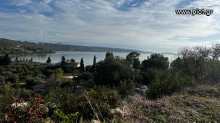 Land plot 501 sqm for sale