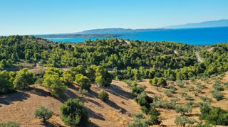 Αγροτεμάχια 32.636 τ.μ. προς πώληση, Βερβερούδα-thumb-17