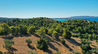 Αγροτεμάχια 32.636 τ.μ. προς πώληση, Βερβερούδα-thumb-18