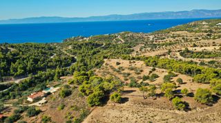 Αγροτεμάχια 32.636 τ.μ. προς πώληση, Βερβερούδα-thumb-22