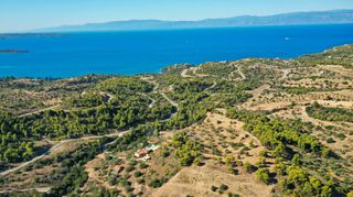 Αγροτεμάχια 32.636 τ.μ. για πώληση
