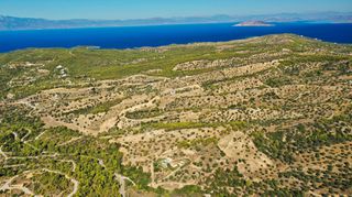 Αγροτεμάχια 32.636 τ.μ. προς πώληση, Βερβερούδα-thumb-13