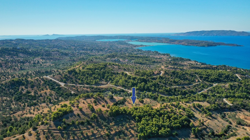 Αγροτεμάχια 32.636 τ.μ. προς πώληση, Βερβερούδα