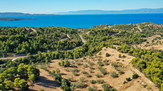 Αγροτεμάχια 32.636 τ.μ. προς πώληση, Βερβερούδα-thumb-9