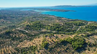 Αγροτεμάχια 32.636 τ.μ. προς πώληση, Βερβερούδα-thumb-16