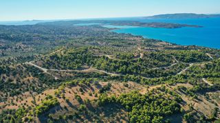 Αγροτεμάχια 32.636 τ.μ. προς πώληση, Βερβερούδα-thumb-7