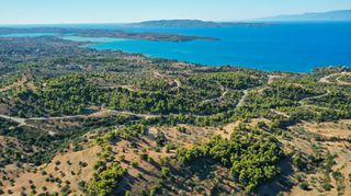 Αγροτεμάχια 32.636 τ.μ. προς πώληση, Βερβερούδα-thumb-4