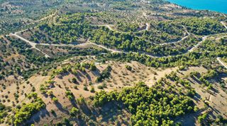 Αγροτεμάχια 32.636 τ.μ. προς πώληση, Βερβερούδα-thumb-8