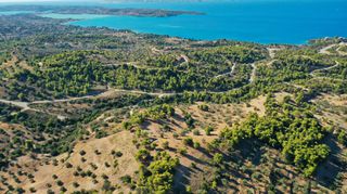 Αγροτεμάχια 32.636 τ.μ. προς πώληση, Βερβερούδα-thumb-24