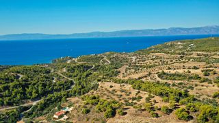 Αγροτεμάχια 32.636 τ.μ. προς πώληση, Βερβερούδα-thumb-23