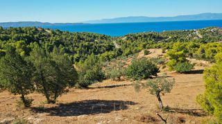 Αγροτεμάχια 32.636 τ.μ. προς πώληση, Βερβερούδα-thumb-20