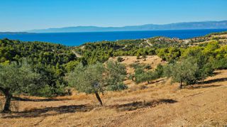 Αγροτεμάχια 32.636 τ.μ. προς πώληση, Βερβερούδα-thumb-19