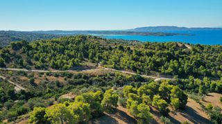 Αγροτεμάχια 32.636 τ.μ. προς πώληση, Βερβερούδα-thumb-21