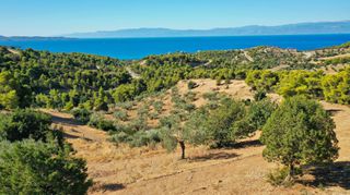 Αγροτεμάχια 32.636 τ.μ. προς πώληση, Βερβερούδα-thumb-2