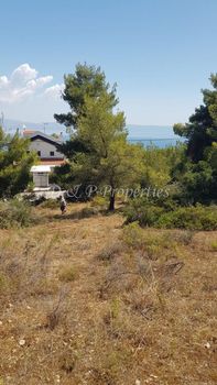 Οικόπεδο 1.031τ.μ. για πώληση-Μαλεσίνα » Μαλεσίνα