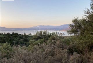 Αγροτεμάχια 6.735 τ.μ. για πώληση