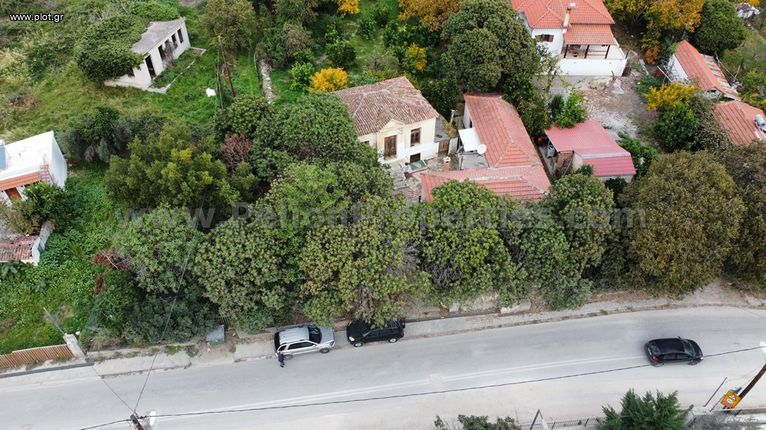 Μονοκατοικία 4.275 τ.μ. για πώληση, Μαγνησία, Αρτέμιδα