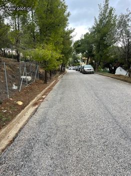 Οικόπεδο 500τ.μ. για πώληση-Πικέρμι » Διώνη