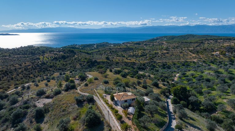 Parcel 22.876 sqm for sale, Argolis, Kranidi