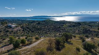Αγροτεμάχια 4.500 τ.μ. για πώληση