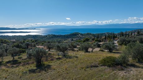 Parcel 8.020sqm for sale-Kranidi » Oikismos