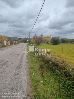 Οικόπεδο 4.500τ.μ. για πώληση-Πύργος » Άγιος γεώργιος