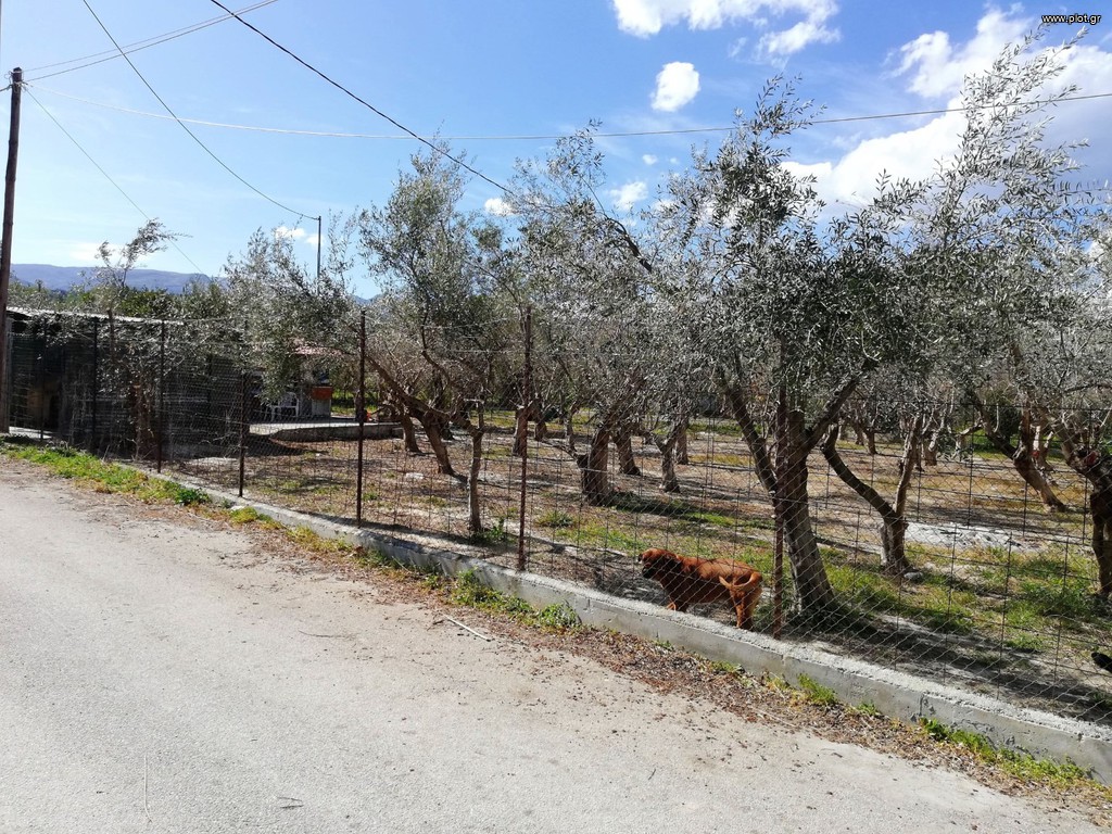 Οικόπεδο 1.296 τ.μ. πρός πώληση, Κορινθία, Ξυλόκαστρο