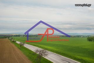 Αγροτεμάχια 7.400 τ.μ. για πώληση