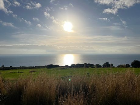 Parcel 4.895sqm for sale-Kefalonia » Eleioi-Pronoi