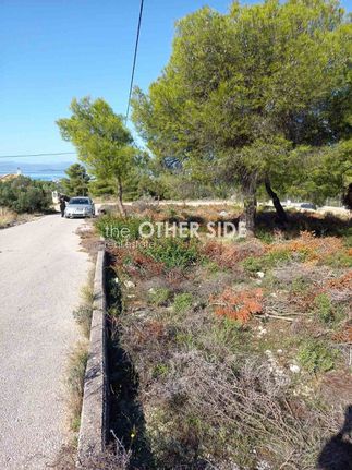 Land plot 1.000 sqm for sale, Phthiotis, Malesina