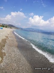 Οικόπεδο 1.272 τ.μ. πρός πώληση, Εύβοια, Αυλώνα-thumb-13