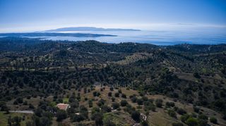 Αγροτεμάχια 8.000 τ.μ. για πώληση, Αργολίδα, Κρανίδι-thumb-9