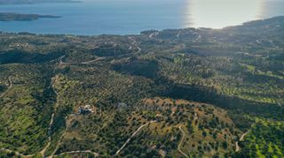 Αγροτεμάχια 8.000 τ.μ. για πώληση, Αργολίδα, Κρανίδι-thumb-12