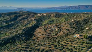 Αγροτεμάχια 8.000 τ.μ. για πώληση, Αργολίδα, Κρανίδι-thumb-4