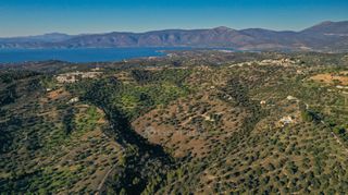 Αγροτεμάχια 8.000 τ.μ. για πώληση, Αργολίδα, Κρανίδι-thumb-16