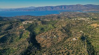 Αγροτεμάχια 8.000 τ.μ. για πώληση, Αργολίδα, Κρανίδι-thumb-6