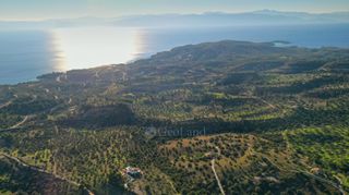 Αγροτεμάχια 8.000 τ.μ. για πώληση, Αργολίδα, Κρανίδι-thumb-14
