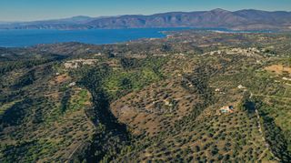 Αγροτεμάχια 8.000 τ.μ. για πώληση, Αργολίδα, Κρανίδι-thumb-15
